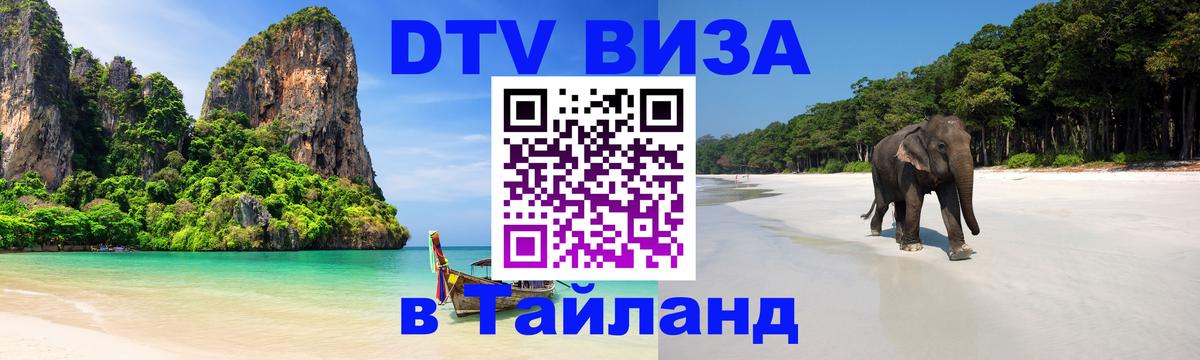 Оформление DTV визы под ключ: стоимость и тарифы, только загранпаспорт - 19.11.2025 